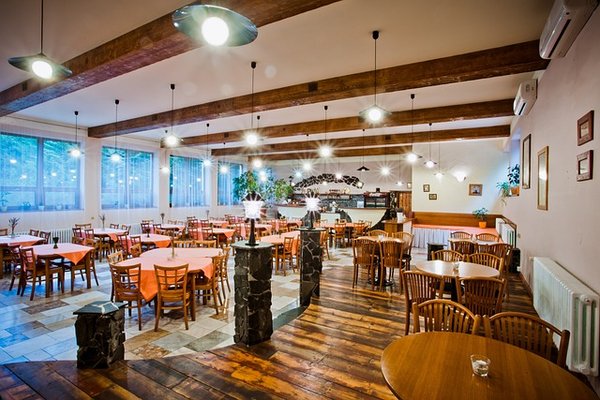Dégustez et Détendez-vous : Top 10 des Hôtels avec Restaurant pour un Séjour Gastronomique Inoubliable